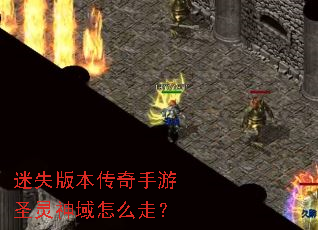 ��ʧ�汾��������ʥ��������ô�ߣ�