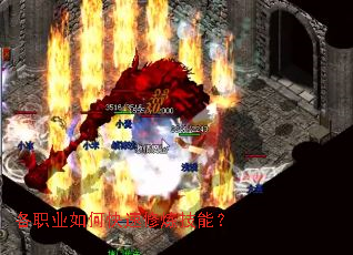 ��ְҵ��ο����������ܣ�