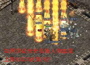 ���ͻ�ƴ���˽������Ѫ������65535�����ƣ�