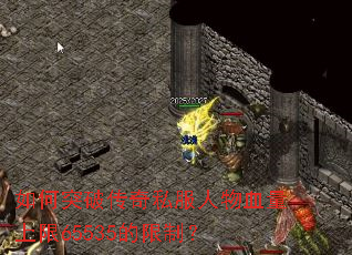 ���ͻ�ƴ���˽������Ѫ������65535�����ƣ�