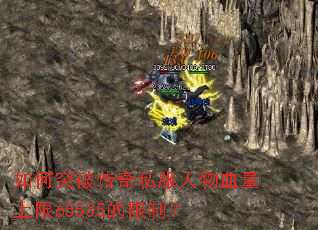 ���ͻ�ƴ���˽������Ѫ������65535�����ƣ�