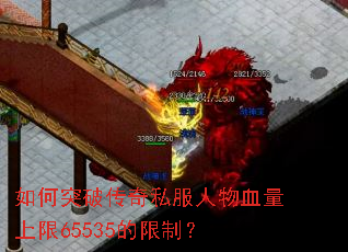 ���ͻ�ƴ���˽������Ѫ������65535�����ƣ�