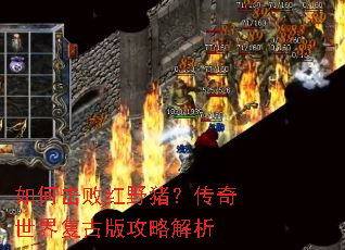 ��λ��ܺ�Ұ�����������縴�Ű湥�Խ���