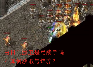 ������ӥ���ǹ���������λ�ȡ��������