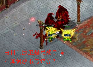������ӥ���ǹ���������λ�ȡ��������