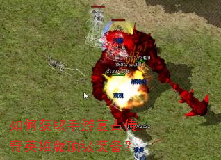 ��λ�ȡ���θ��Ŵ���Ӣ�۰涥��װ����