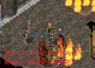 ��ʿ����������ü�������޶Կ�����������ƺ��ڣ�