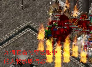 ��β鿴����˽���е�����˽����Ϣ��