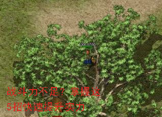 ս�������㣿������5�п�������ʵ��