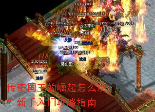 ���������������ô�棿�������Ź���ָ��