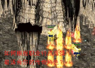 ��θ���ְҵ�ص�ѡ�����ʺ���Ĵ����ɫ��