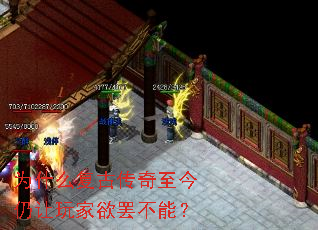 Ϊʲô���Ŵ�����������������ղ��ܣ�
