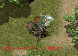�������������ĸ�boss�ܱ�������