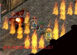 ��ʿ����������Щ�������㣿