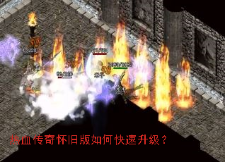 ��Ѫ���滳�ɰ���ο���������