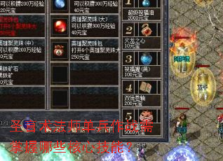 ʥ������ʦ������ս��������Щ���ļ��ܣ�