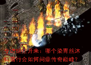 ר�ü����������ĸ�Ⱦ��˿����ѩ�л�����ʶ������۷壿