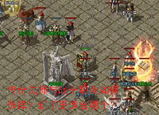 ���淨ʦ��սʿְҵ���ѡ�����ָ��ʺ��ĸ���