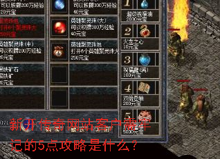 �¿�������վ�ͻ����μǵ�5�㹥����ʲô��