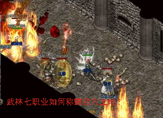 ������ְҵ��γư��ķ����أ�