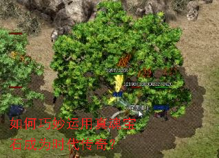 �������������걦ʯ��Ϊʱ�����棿