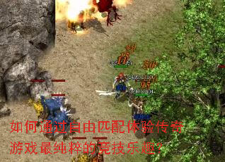 ���ͨ������ƥ�����鴫����Ϸ���ľ�����Ȥ��
