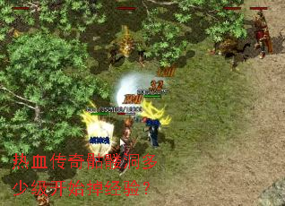��Ѫ�������ö����ټ���ʼ�����飿