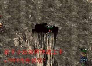 ����С����ο�������sf999������Ϸ��