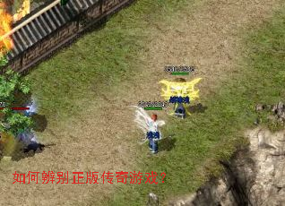 ��α�����洫����Ϸ��