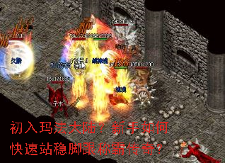 �����귨��½��������ο���վ�ȽŸ��ưԴ��棿