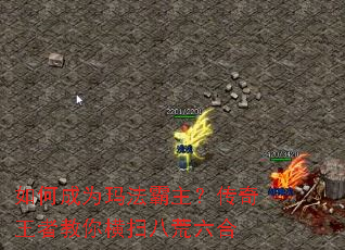 ��γ�Ϊ�귨�������������߽����ɨ�˻�����