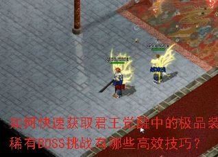 ��ο��ٻ�ȡ���������еļ�Ʒװ����ϡ��BOSS��ս����Щ��Ч���ɣ�
