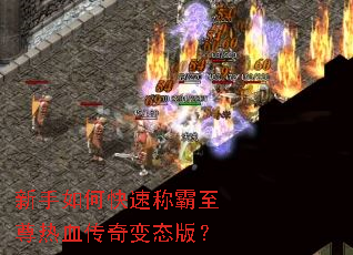 ������ο��ٳư�������Ѫ�����̬�棿