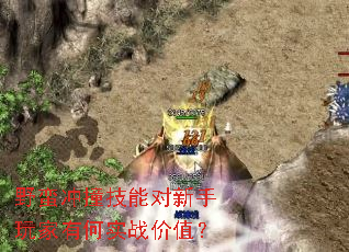 Ұ����ײ���ܶ���������к�ʵս��ֵ��