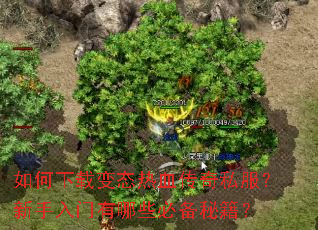������ر�̬��Ѫ����˽����������������Щ�ر��ؼ���