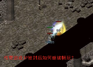 ������ϷIP�������μ������棿