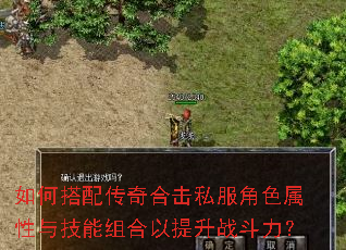 ��δ��䴫��ϻ�˽����ɫ�����뼼�����������ս������