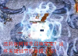 ��ʦ��ξ�׼�ٻ���������Щ�ؼ�ϸ������������