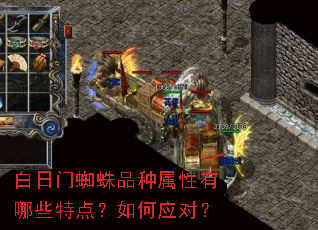 ������֩��Ʒ����������Щ�ص㣿���Ӧ�ԣ�