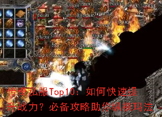 ����˽��Top10����ο�������ս�����ر����������ݺ��귨