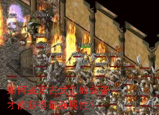 ��μ������佣��װ�����ܻ����ǿ���ԣ�