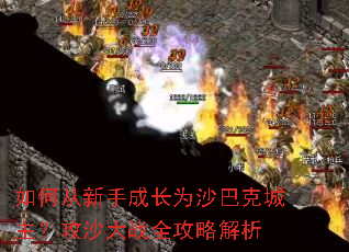 ��δ����ֳɳ�Ϊɳ�Ϳ˳�������ɳ��սȫ���Խ���