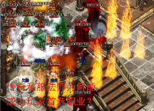 ����˽����ʦΪ���ܳ�Ϊ�����ѡְҵ��