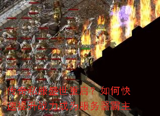 ����˽��ʢ����������ο�������ս����Ϊ����������