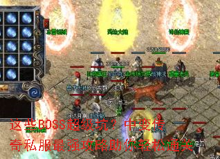 ��ЩBOSS�����ӣ��б䴫��˽����ǿ������������ͨ��