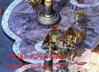 �����Ŷ���θ�ЧЭ������ЩҪ������������