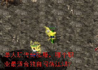 �����洫��˽�����ĸ�ְҵ���ʺ϶��Դ���������