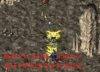 ��������ҷ����������T6�Ѷ����������沢��Чˢװ��