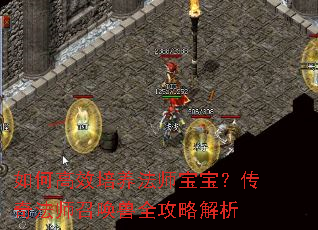��θ�Ч������ʦ���������淨ʦ�ٻ���ȫ���Խ���