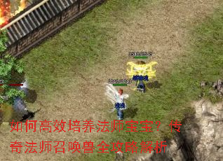 ��θ�Ч������ʦ���������淨ʦ�ٻ���ȫ���Խ���